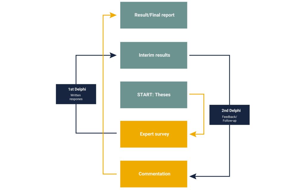 Process diagram of the Delphi method