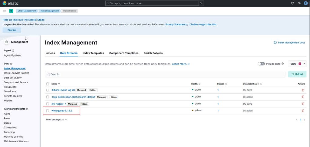 Elasticsearch Index Management mit Winlogbeat-Index