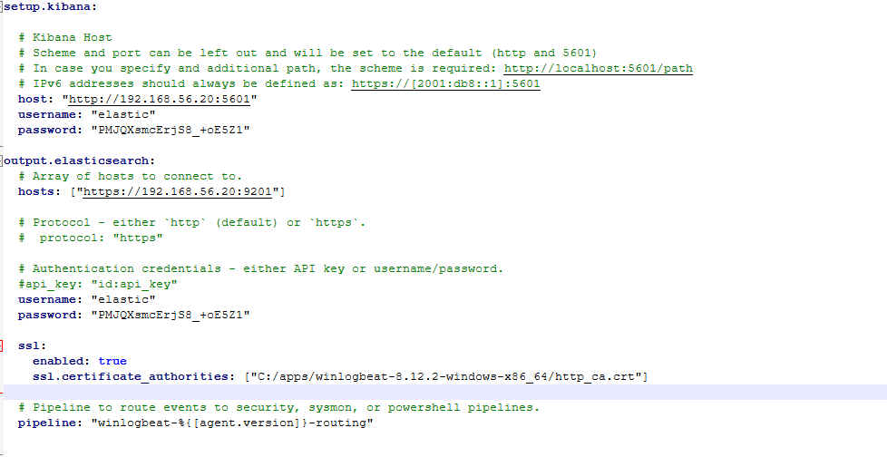 Winlogbeat-Konfiguration für Kibana und Elasticsearch